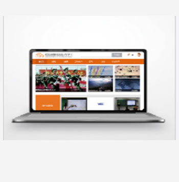 軟件及應用平臺板塊